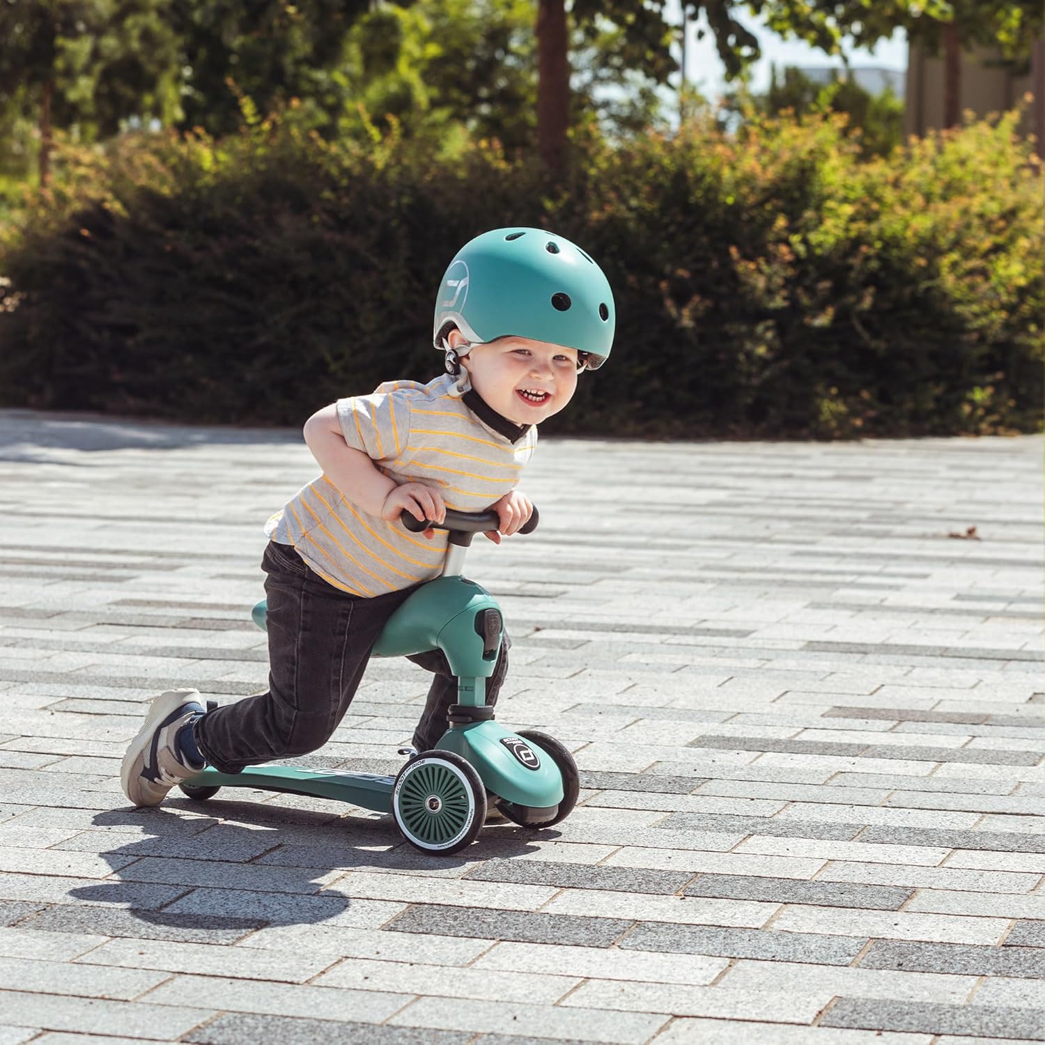 Scoot & Ride